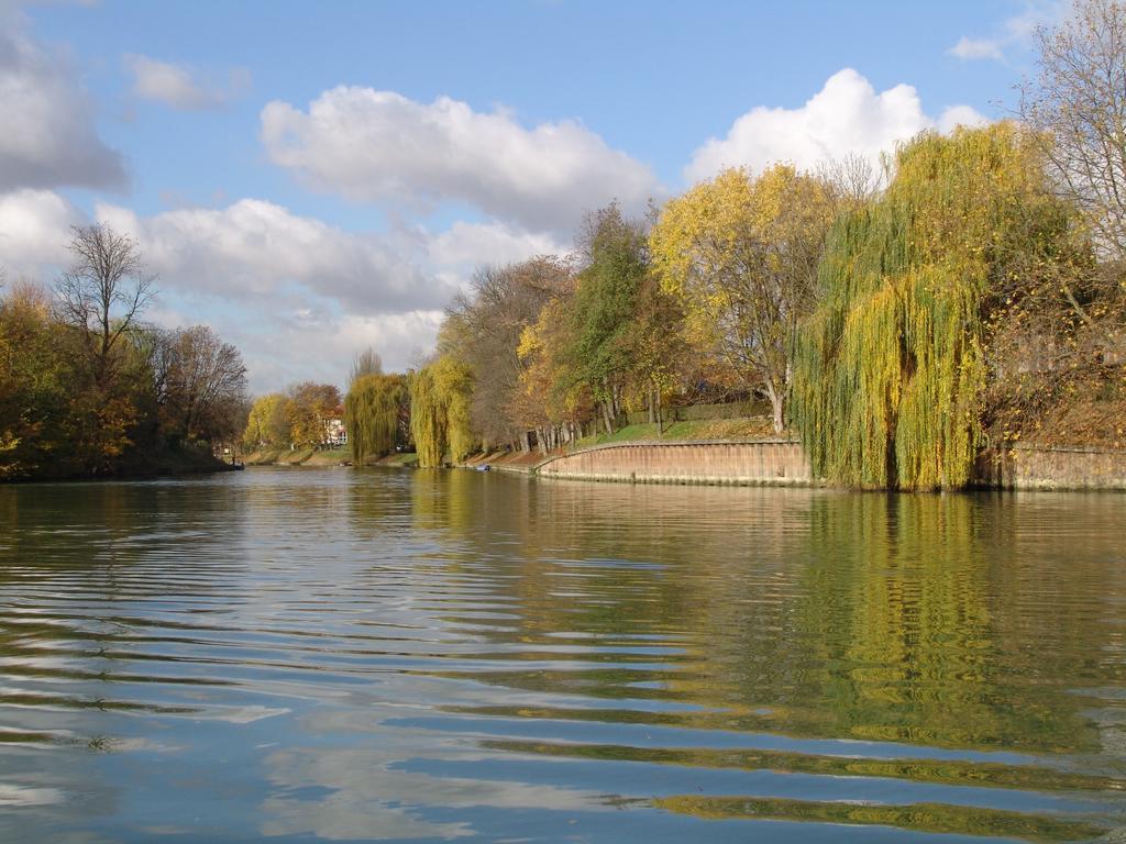 Chambre Avec Jardin Pierre Curie Bry-sur-Marne Bilik gambar