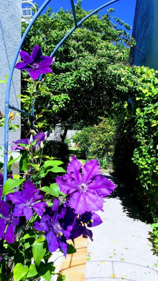 Chambre Avec Jardin Pierre Curie Bry-sur-Marne Luaran gambar